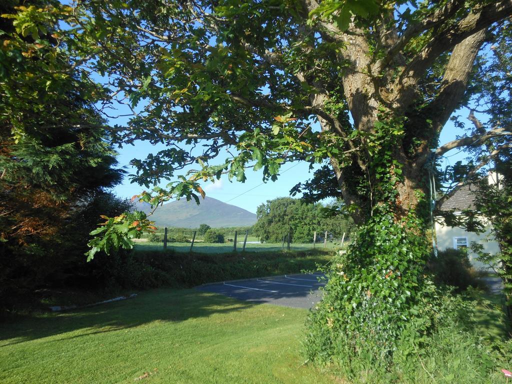 Bed & Breakfast Kingdom View B&B