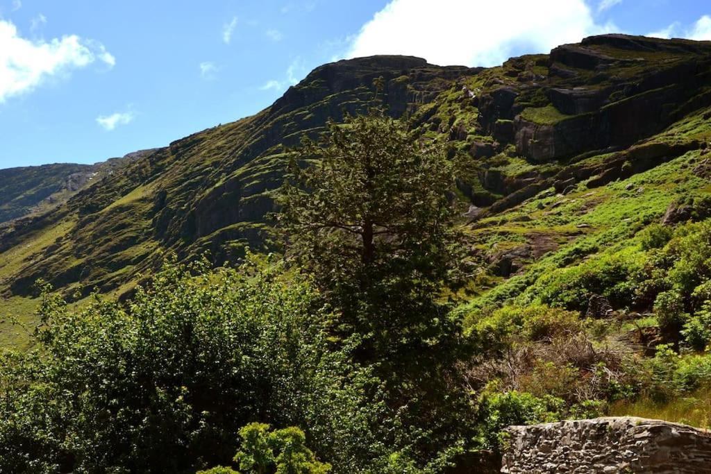 Secluded Nestled In The Beara Peninsula Killarney
