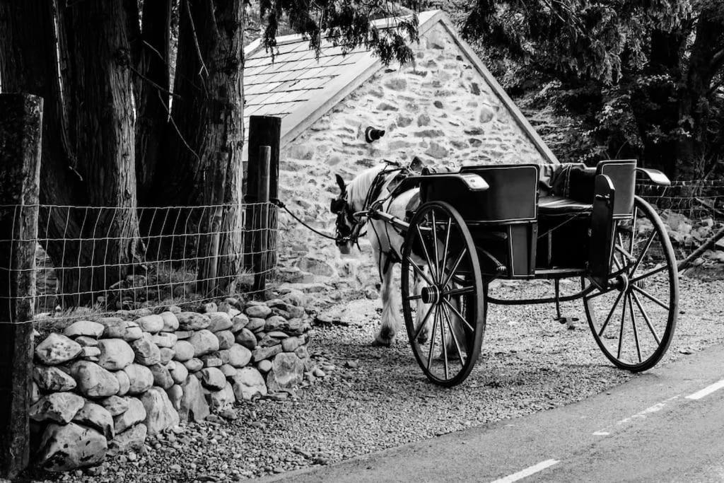 Gap Of Dunloe Shepherd's * Killarney