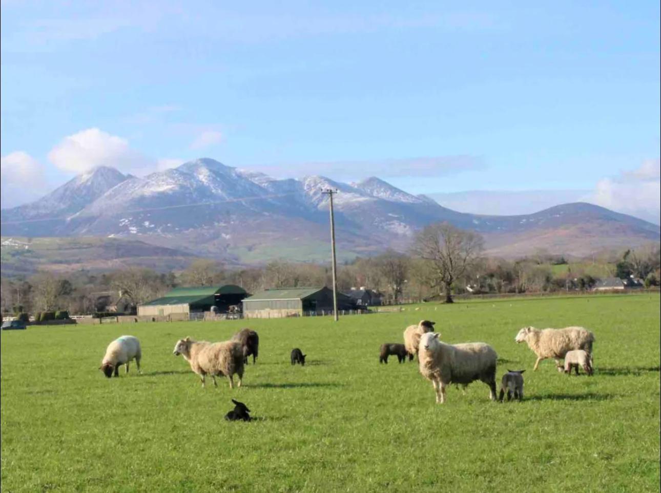 Mountain Views On The Ring Of Kerry Holiday home