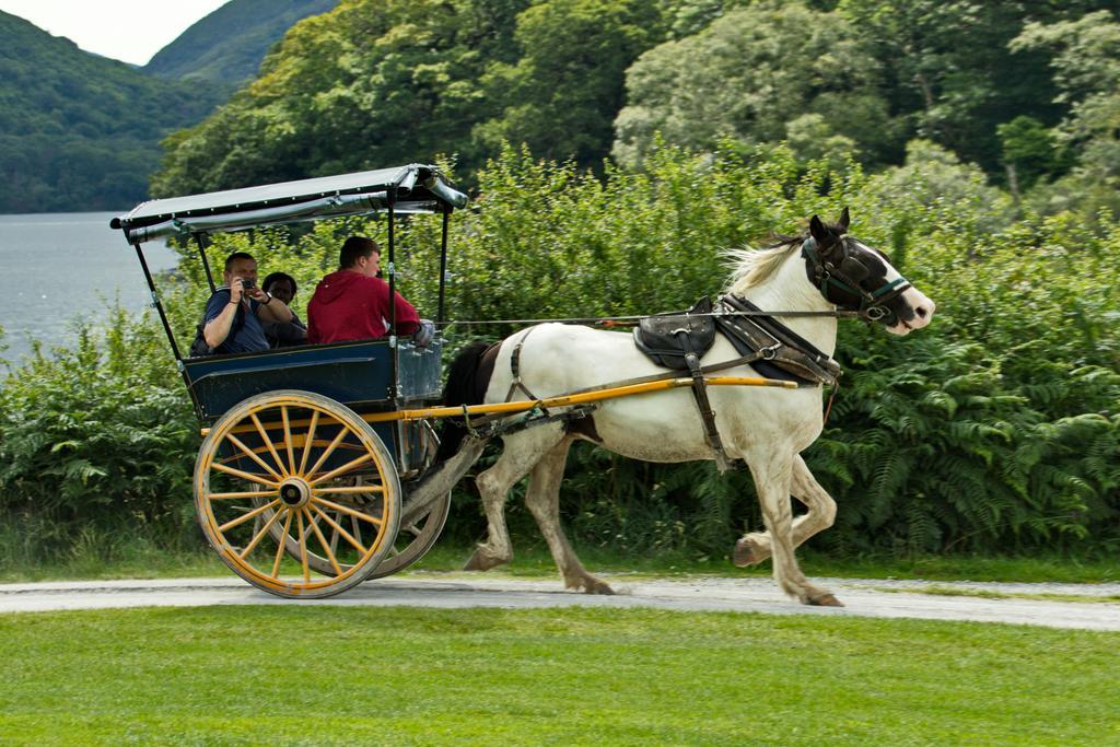 Eviston House Hotel