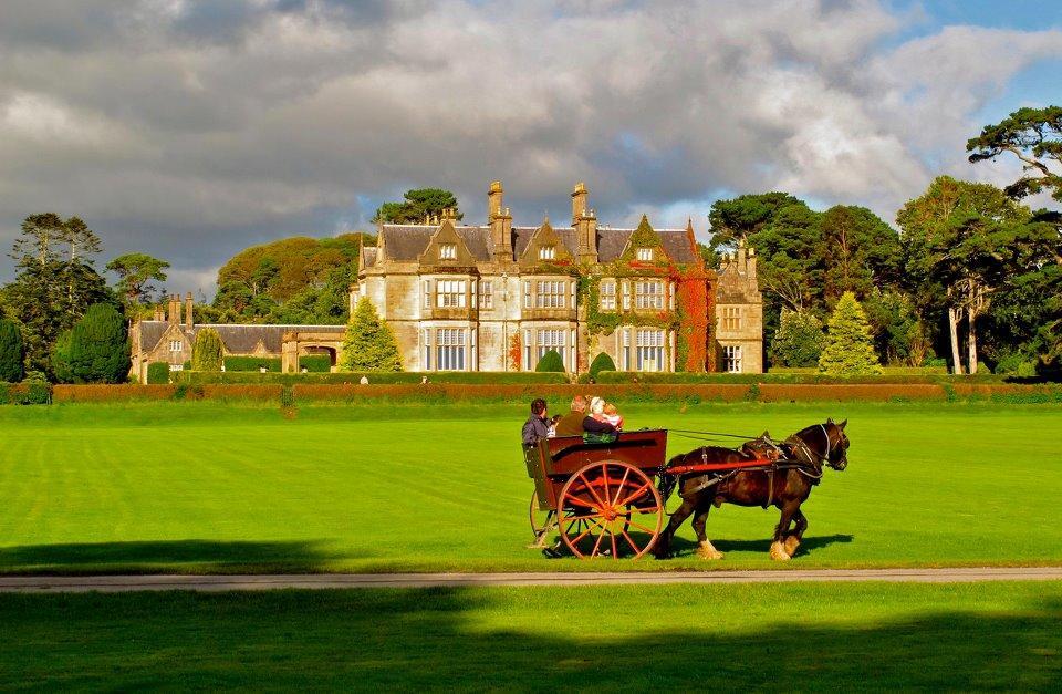 19th 3* Killarney