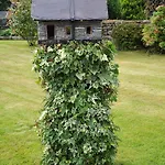 Flesk Lodge