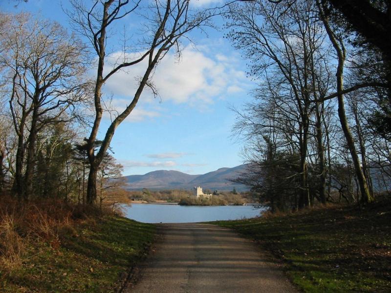 Crystal Springs