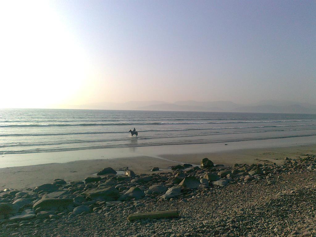 The Sleepy Camel Hostel *