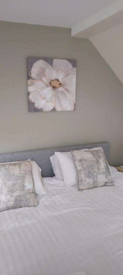 Homestay Paddy's Palace Kilarney