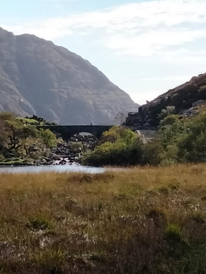 Larkfield House B&b, Ballycasheen Kerry V93 Wd51