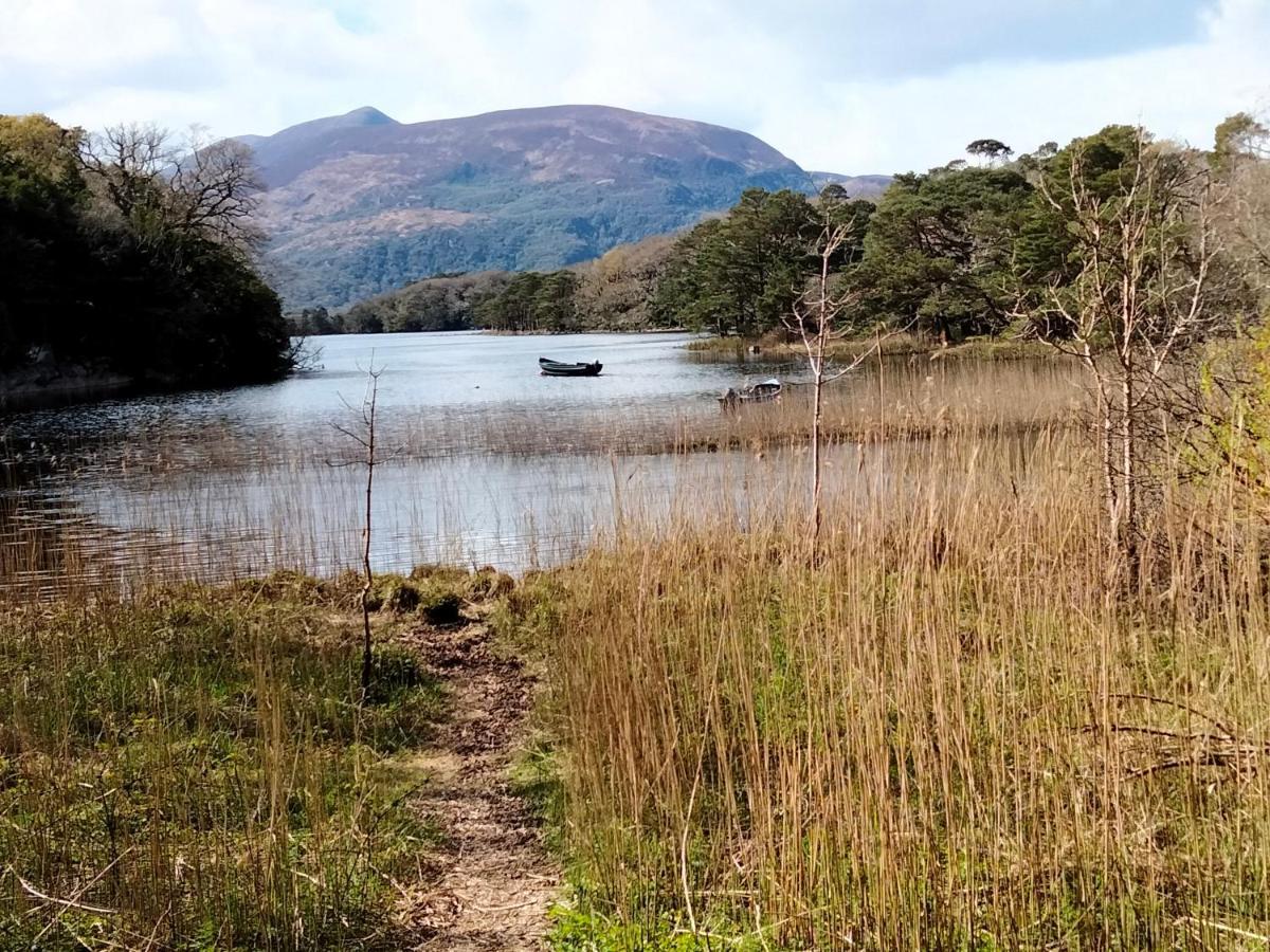 Larkfield House B&b, Ballycasheen Kerry V93 Wd51