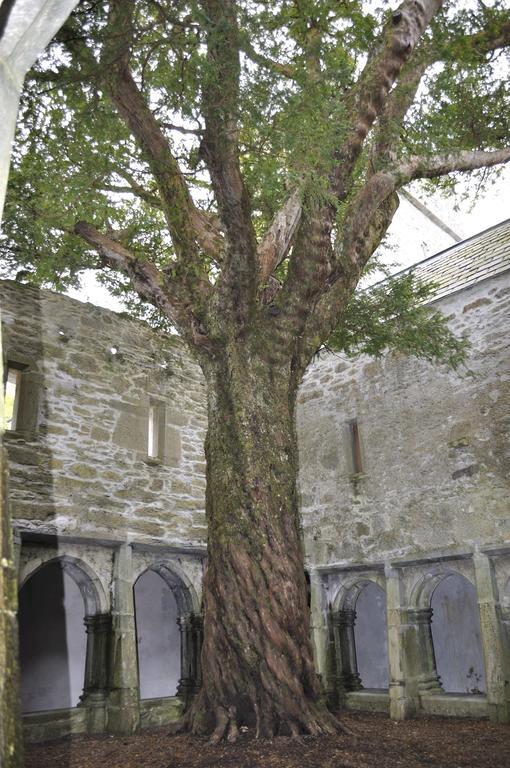 Bed & Breakfast Shepherds Killarney