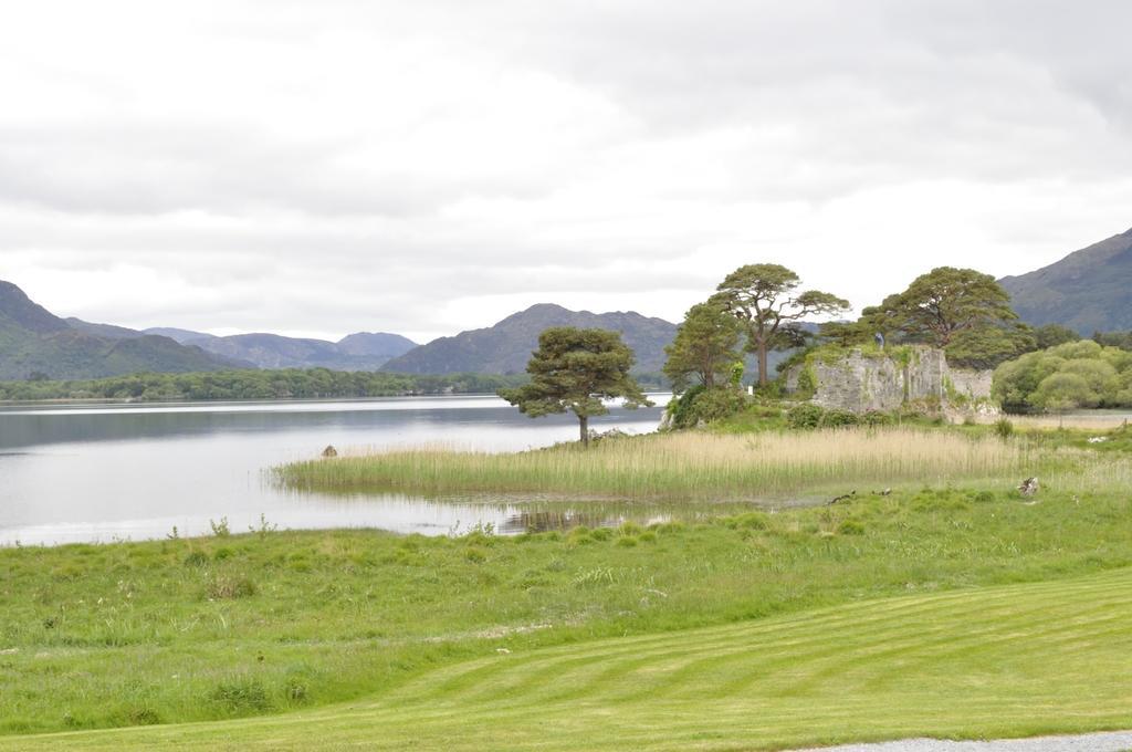 Shepherds Killarney