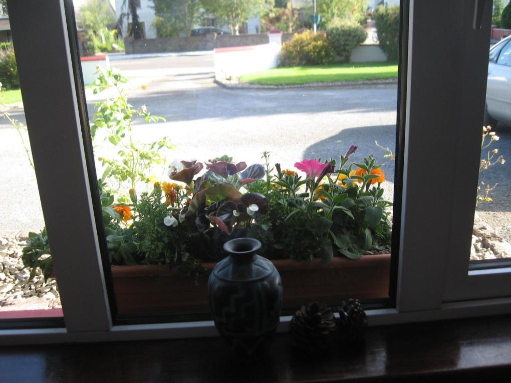 Woodlawn House Guest house 3*
