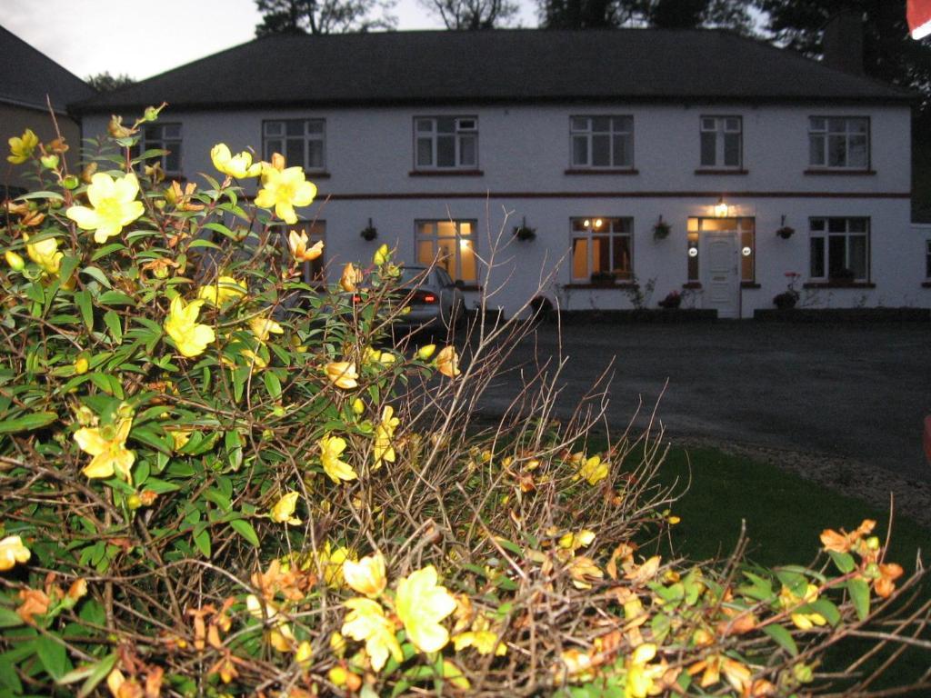 Guest house Woodlawn House 3*