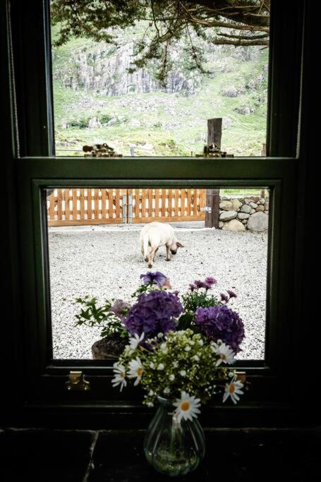 Holiday home Gap Of Dunloe Shepherd's