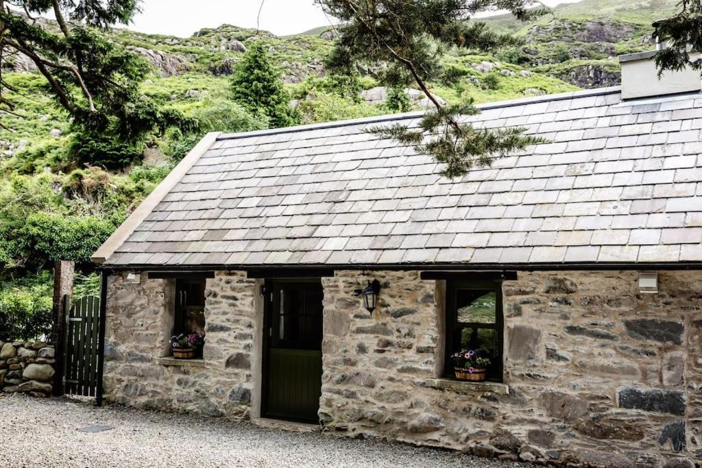 Gap Of Dunloe Shepherd's Killarney