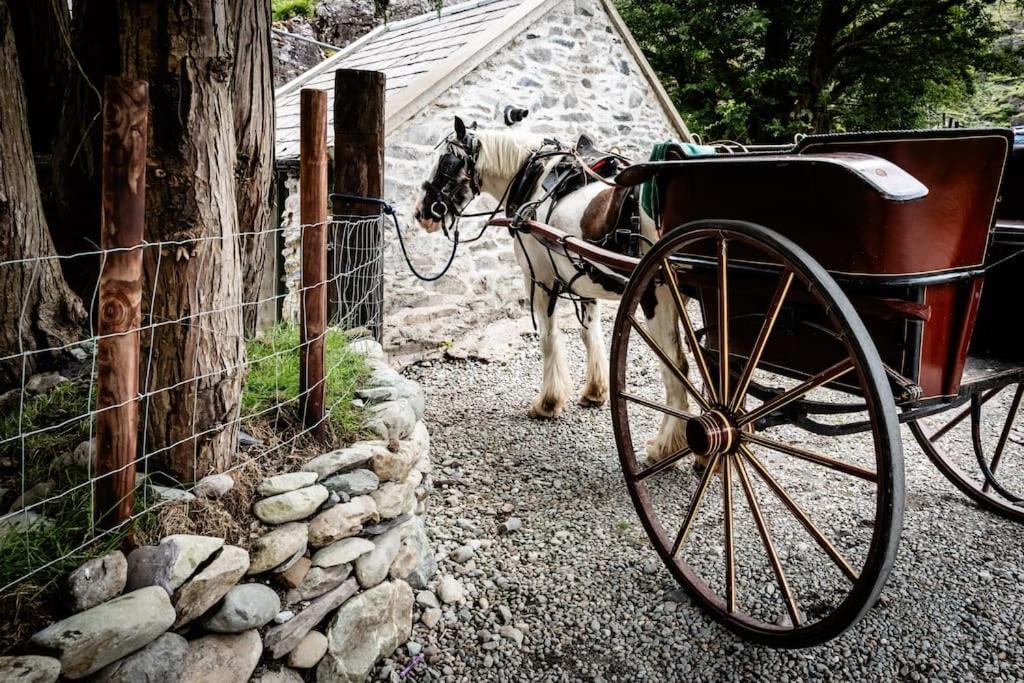 Holiday home Gap Of Dunloe Shepherd's Killarney