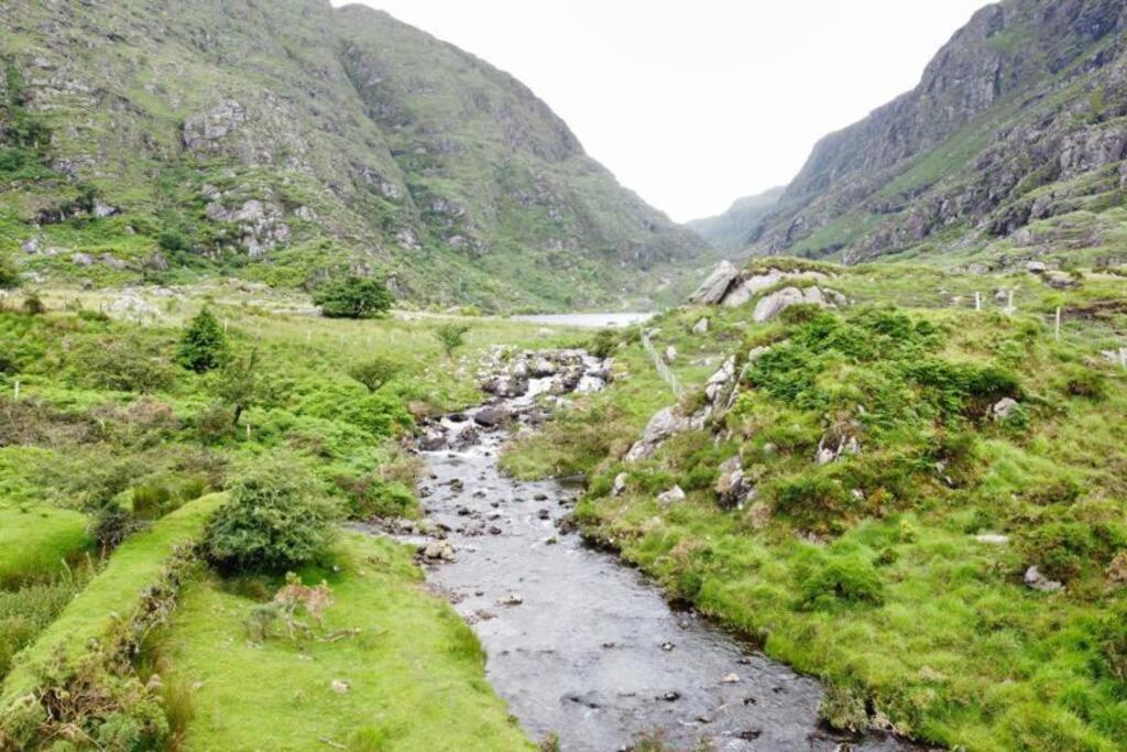 Gap Of Dunloe Shepherd's Killarney
