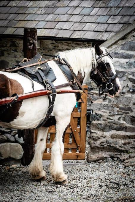Holiday home Gap Of Dunloe Shepherd's *