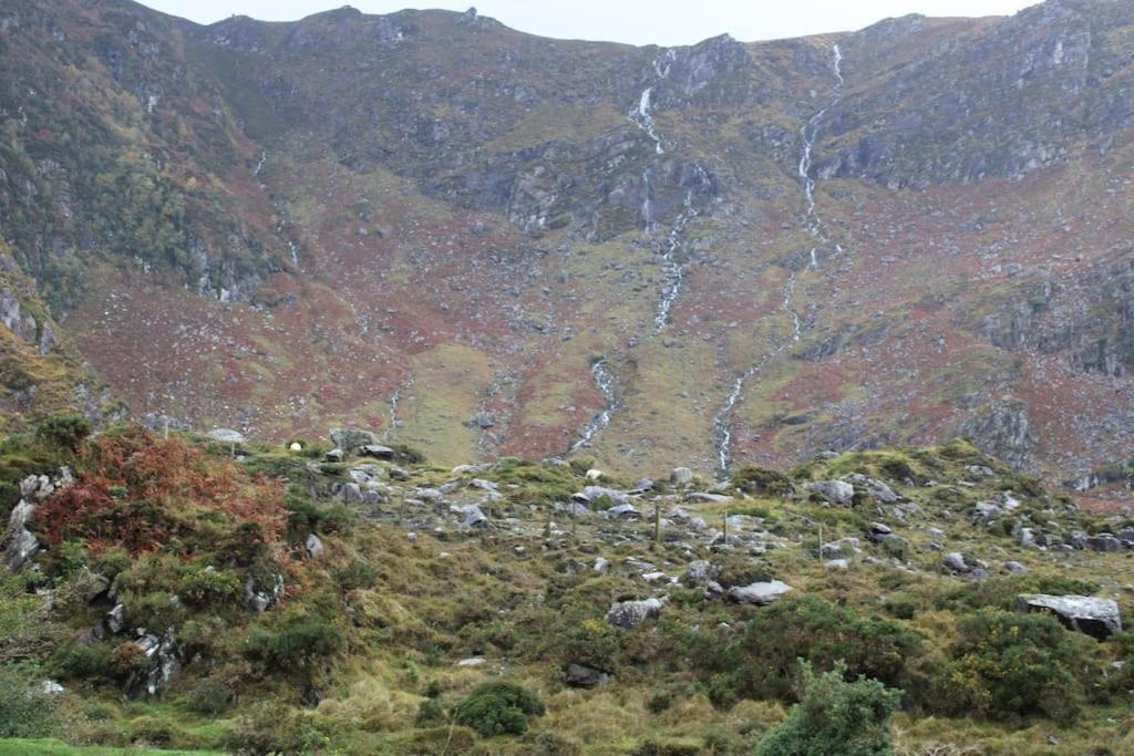 Gap Of Dunloe Shepherd's *