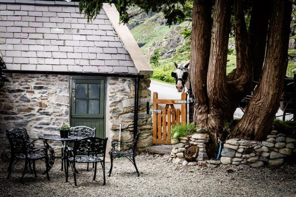Gap Of Dunloe Shepherd's *