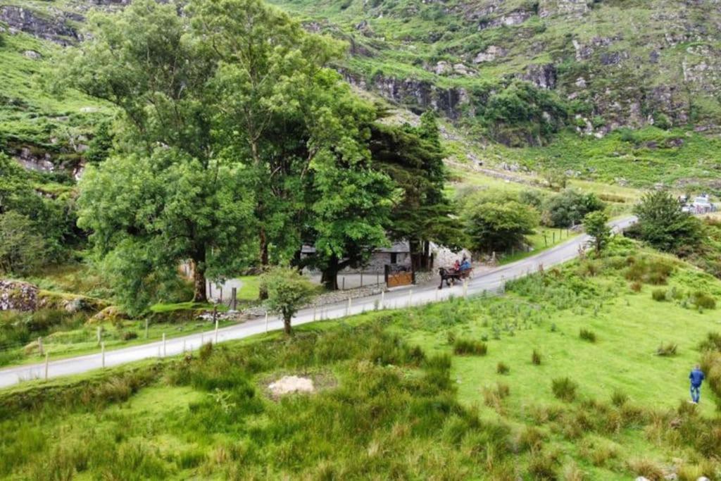 Gap Of Dunloe Shepherd's * Killarney