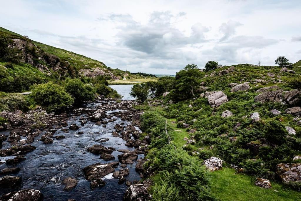 Gap Of Dunloe Shepherd's