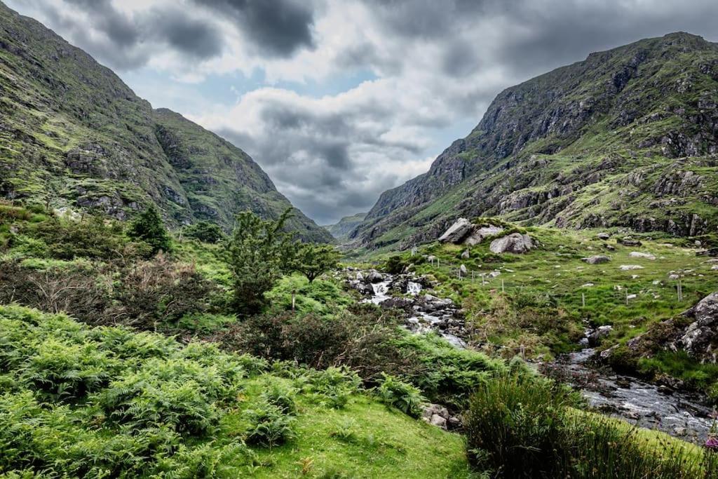 Gap Of Dunloe Shepherd's Killarney