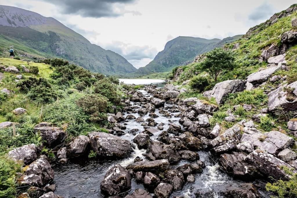 Gap Of Dunloe Shepherd's *