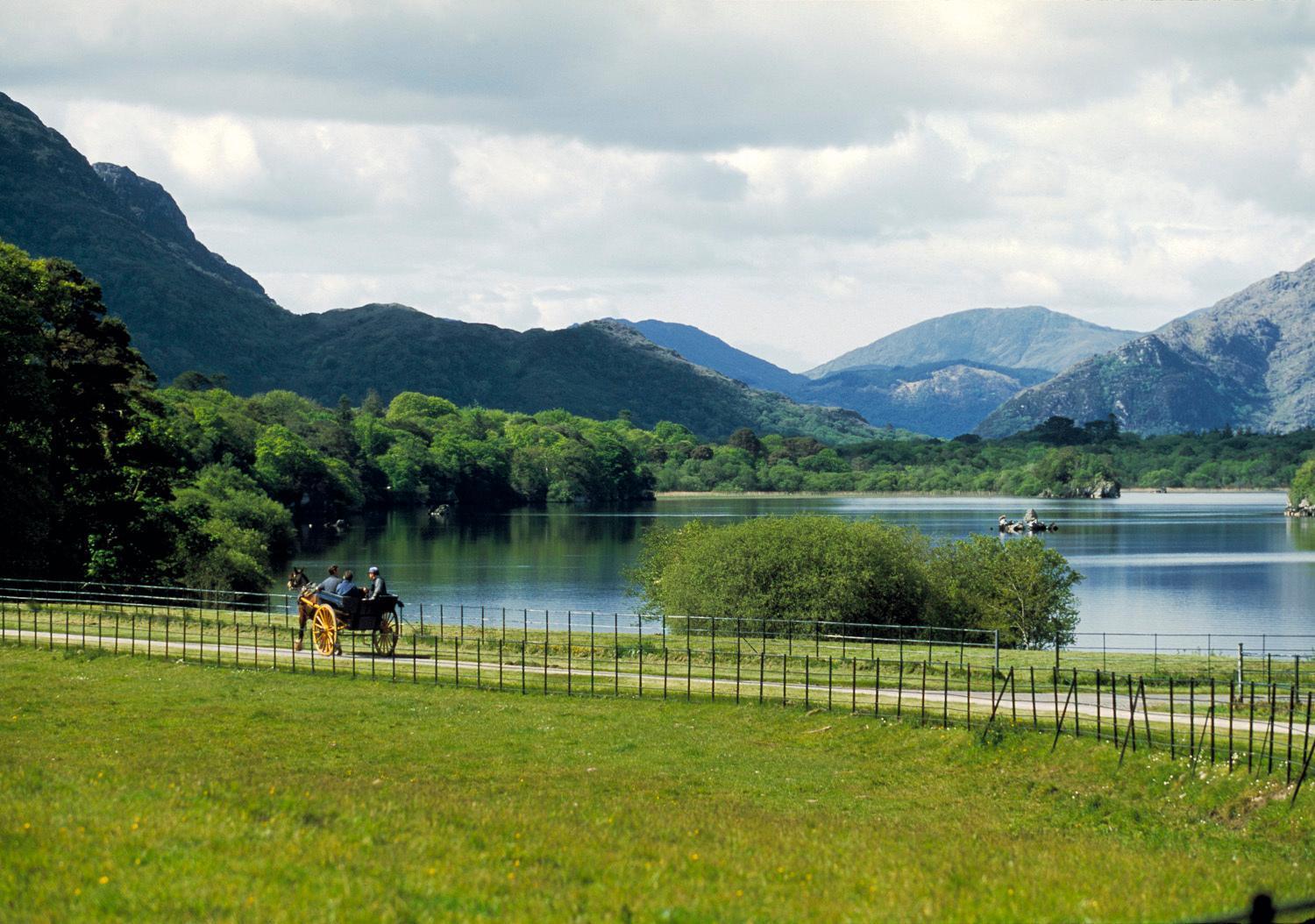 Abbey Killarney