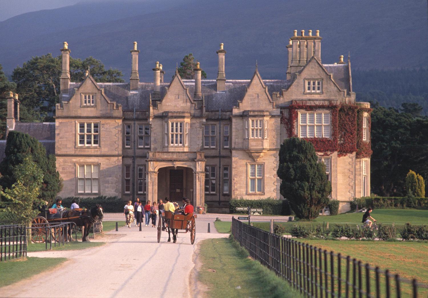 Abbey Killarney