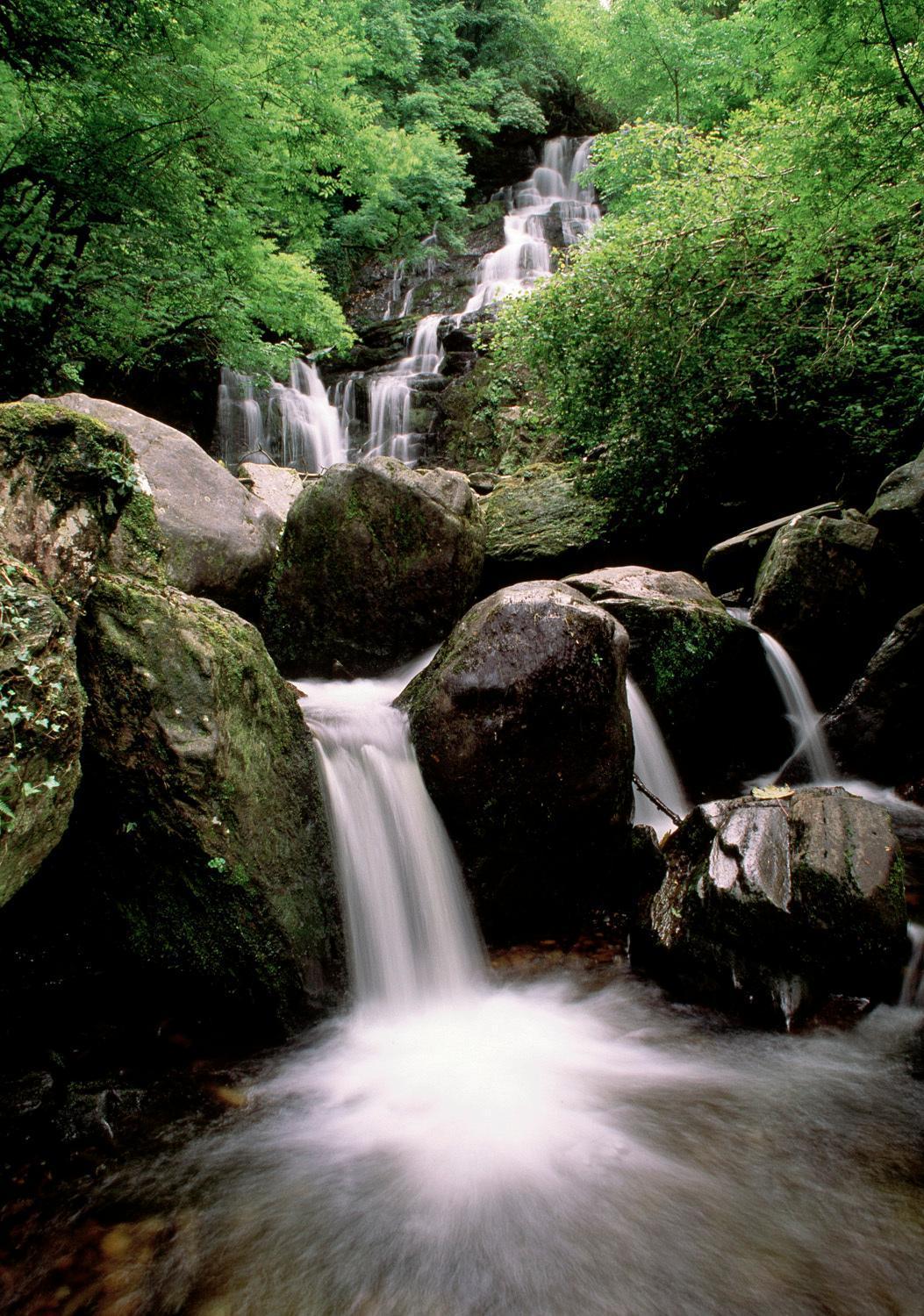 Guest house Abbey Killarney