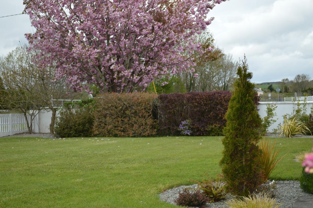 Bed & Breakfast Caseys Homedale