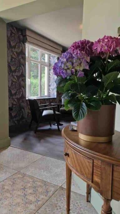 Luxury Eleven Bedroom House Sleeps 23 5-10 Mins Walk From Town Centre Holiday home Killarney