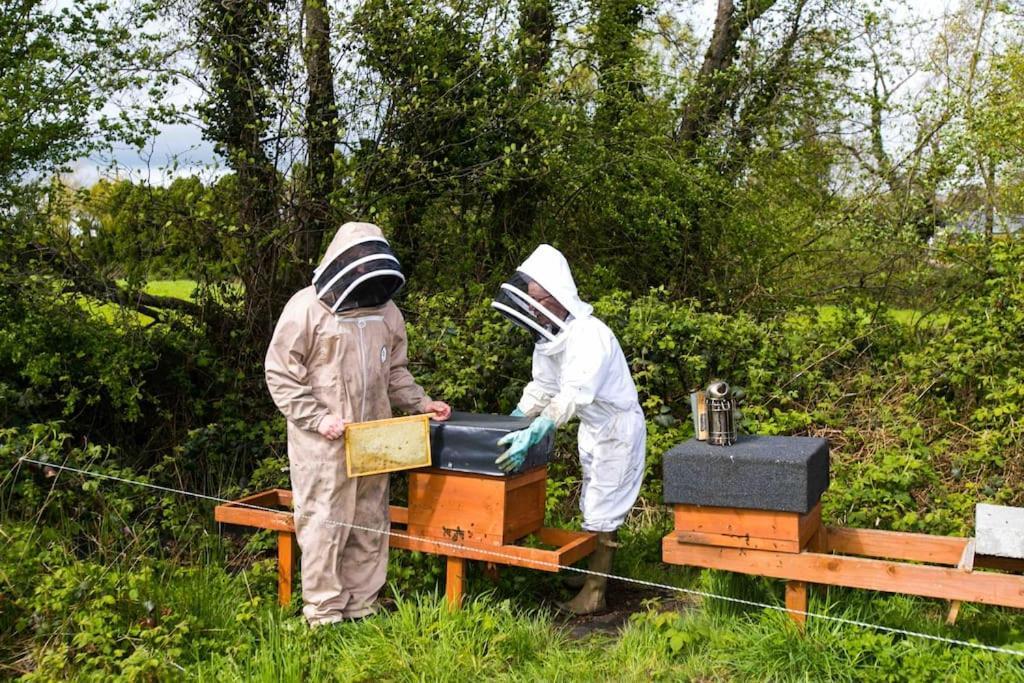 The Apiary *