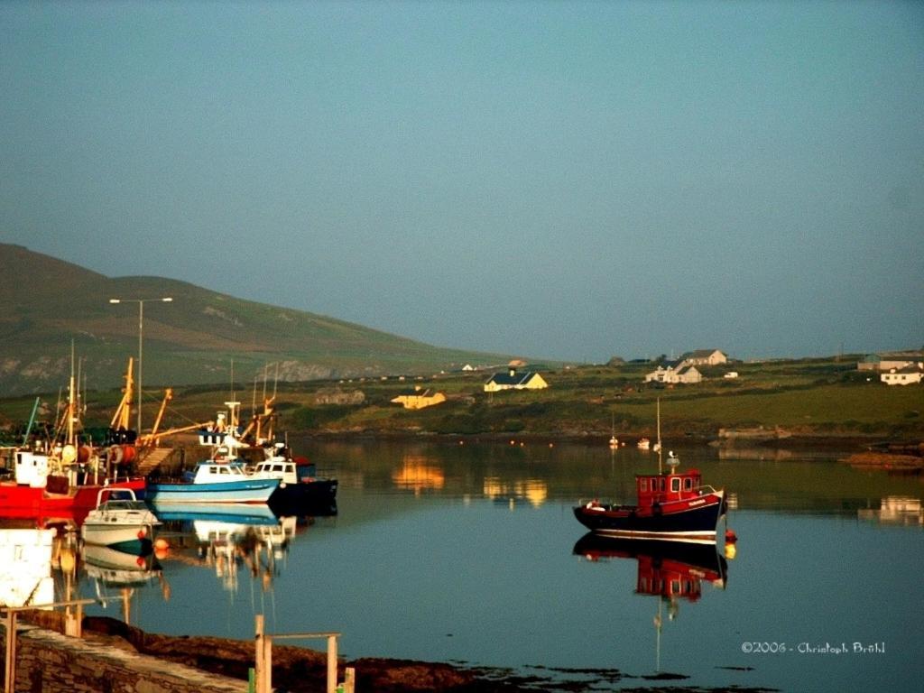 Guest house Beachcove Killarney