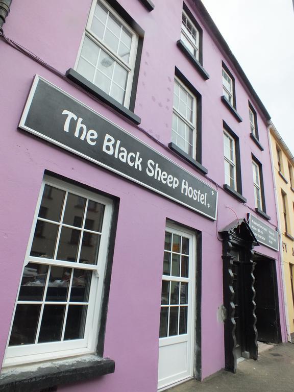 The Black Sheep