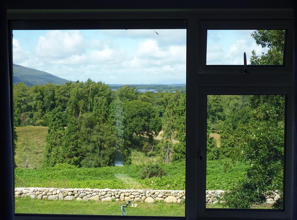 Gallan Eile Killarney