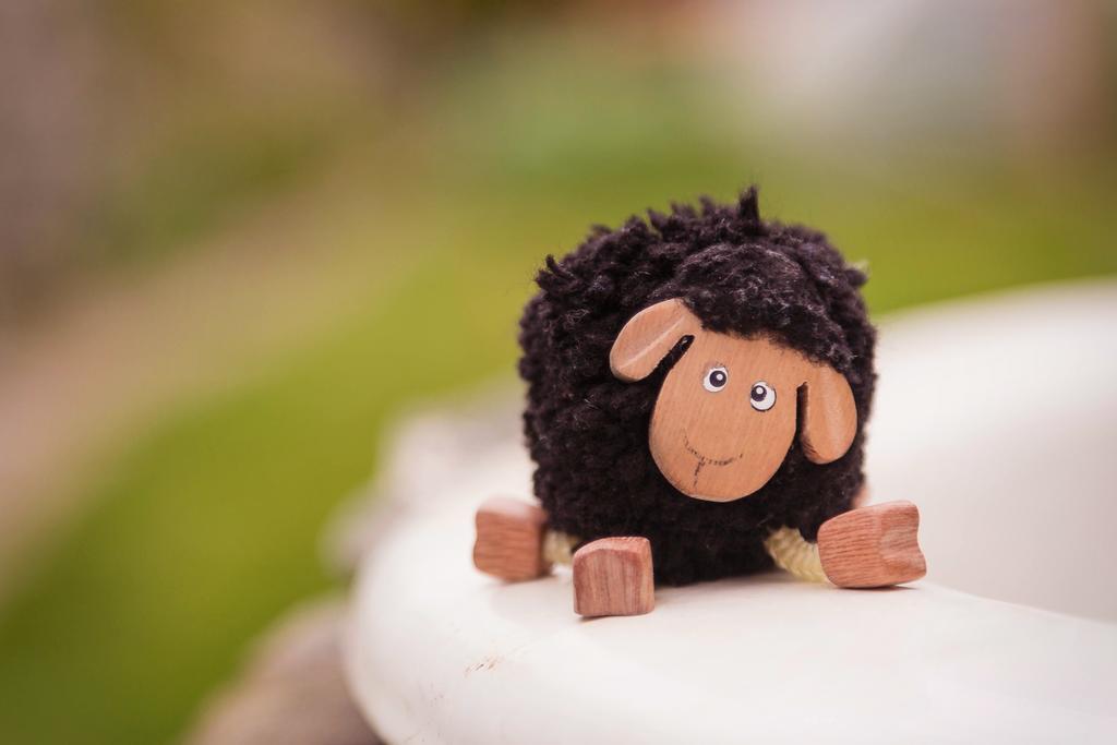 The Black Sheep