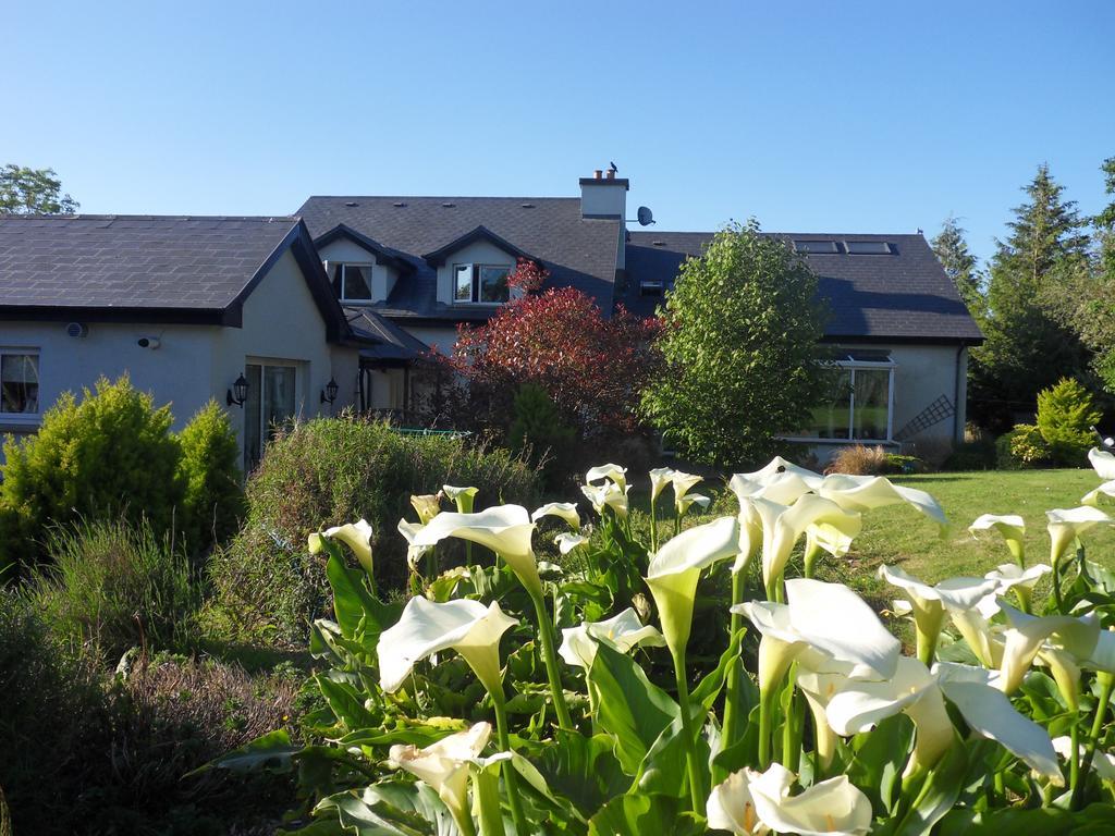Ethan House * Killarney