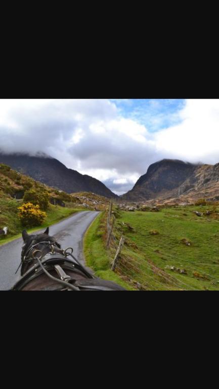 Apartment Coll Corran Self-catering Killarney