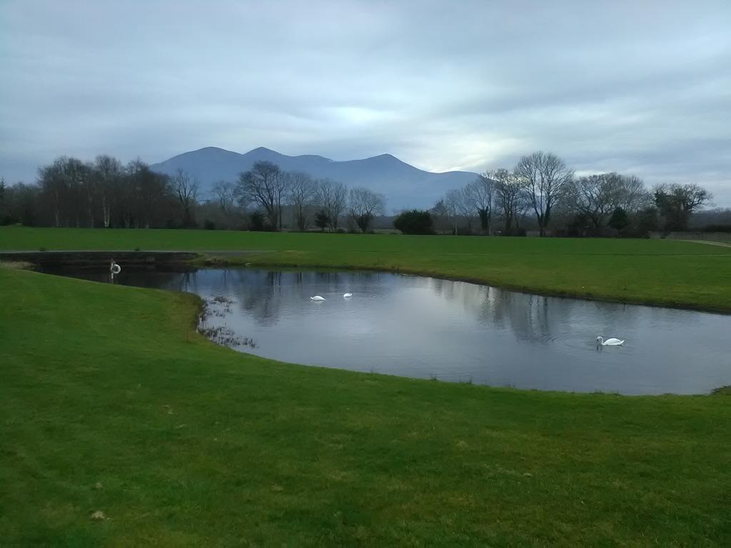Larkfield House B&b, Ballycasheen Kerry V93 Wd51 3*