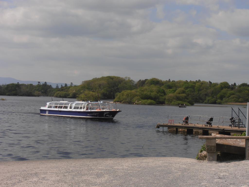 Bed & Breakfast Larkfield House B&b, Ballycasheen Kerry V93 Wd51