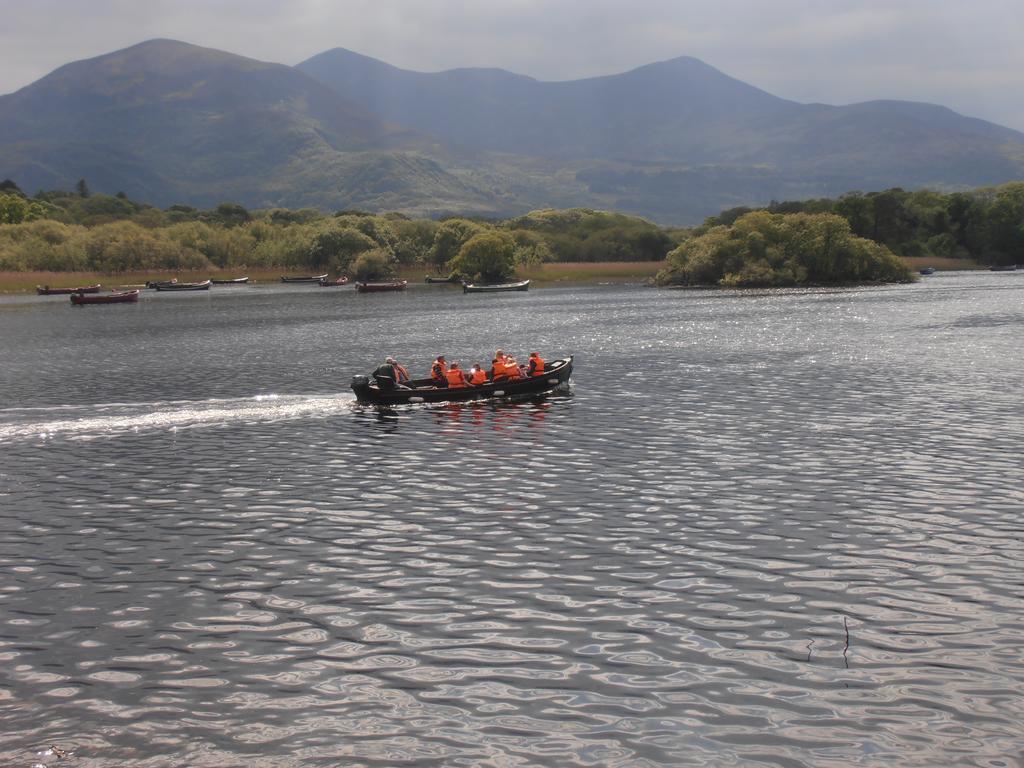 Larkfield House B&b, Ballycasheen Kerry V93 Wd51 Killarney