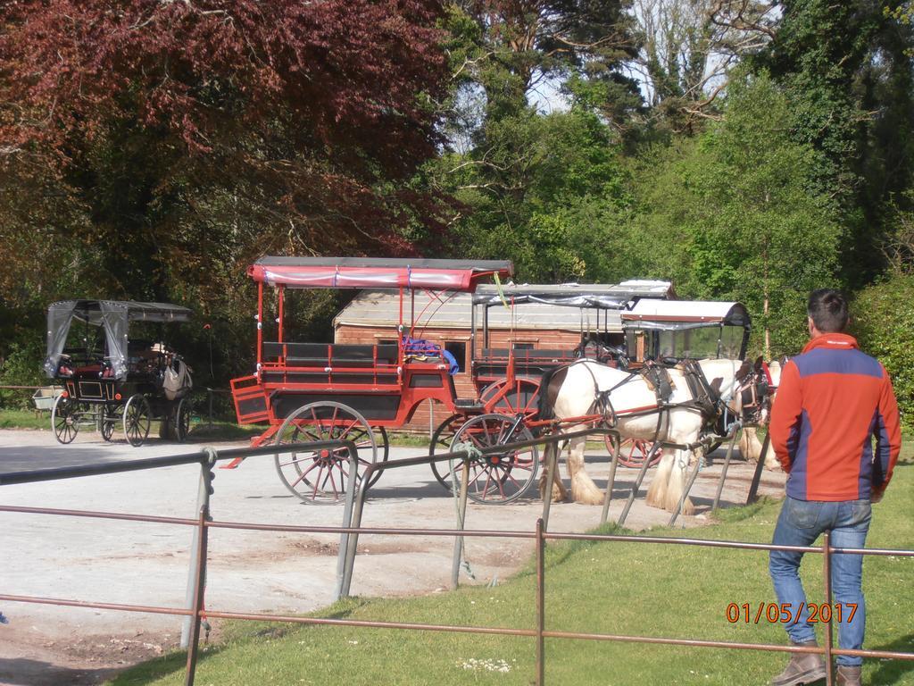 Larkfield House B&b, Ballycasheen Kerry V93 Wd51 Bed & Breakfast 3*