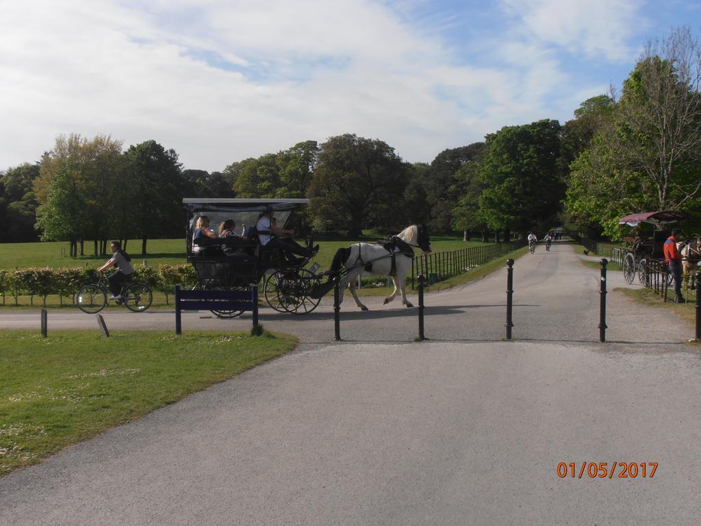 Bed & Breakfast Larkfield House B&b, Ballycasheen Kerry V93 Wd51