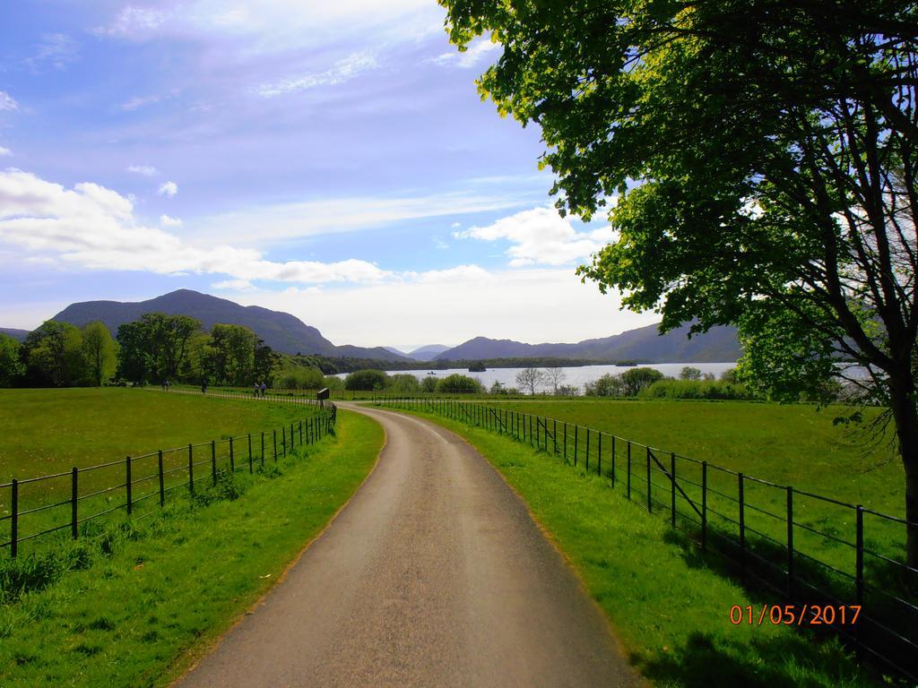 Larkfield House B&b, Ballycasheen Kerry V93 Wd51 Bed & Breakfast Killarney