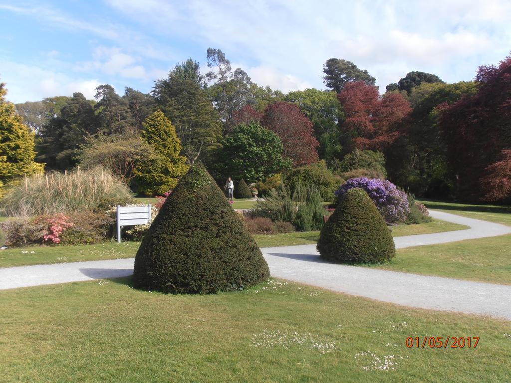 Bed & Breakfast Larkfield House B&b, Ballycasheen Kerry V93 Wd51 Killarney