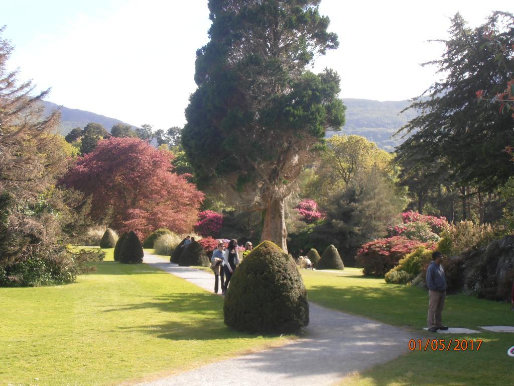 Bed & Breakfast Larkfield House B&b, Ballycasheen Kerry V93 Wd51