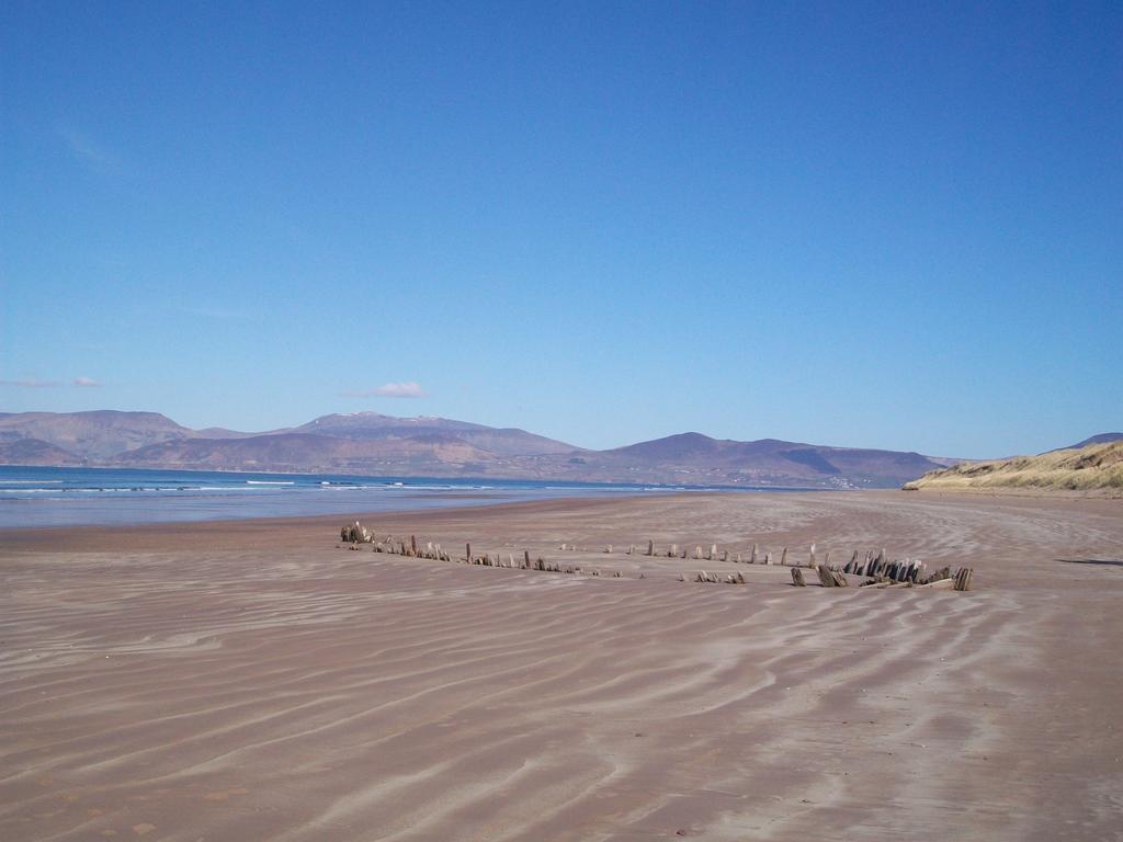 The Sleepy Camel Killarney