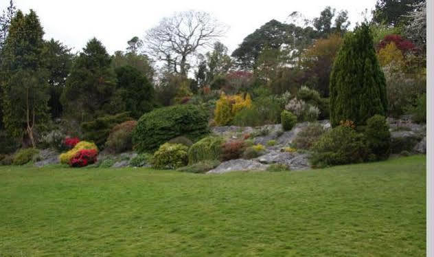 Lake Lodge Guesthouse Killarney