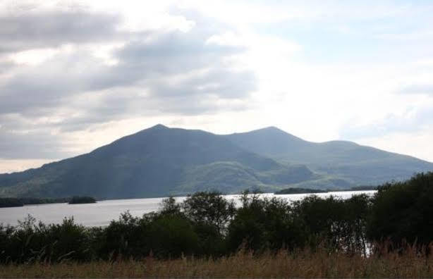 Lake Lodge Guesthouse 4* Killarney
